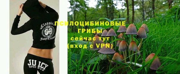 2c-b Алзамай