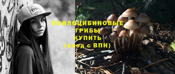 метадон Алексин