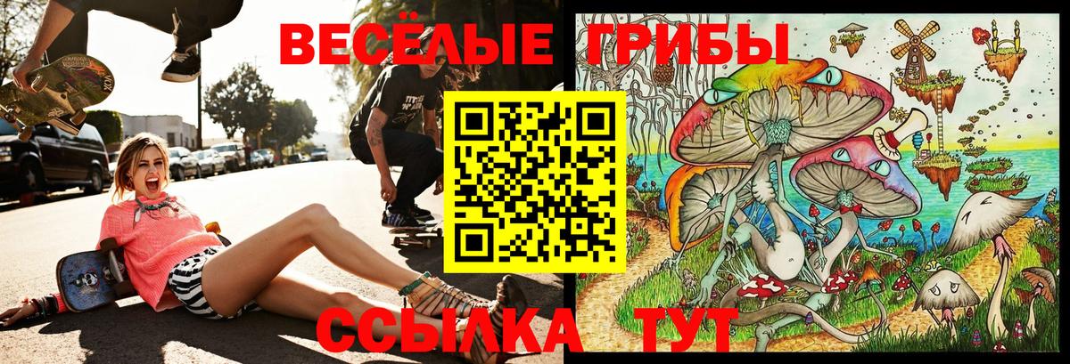 Галлюциногенные грибы Psilocybine cubensis  что такое   Феодосия  Псилоцибиновые грибы GOLDEN TEACHER  Вход с VPN 